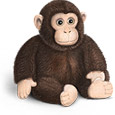 monkey.jpg